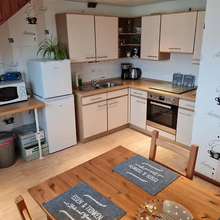 Elbblick Dessau-Rosslau